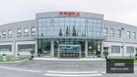 电影市场趋势解读：三大关键信号揭示未来动向